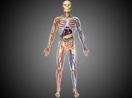 Amazing Facts About the Human Body | UncutINDIA